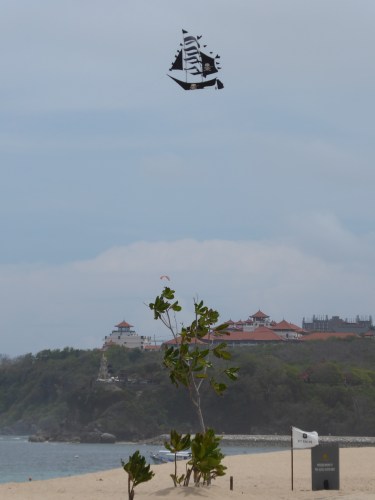 p1000555