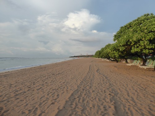 P1000648.JPG