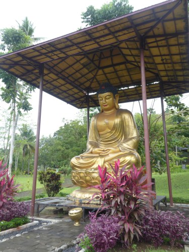 p1000838
