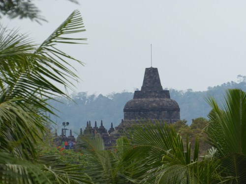 p1000891