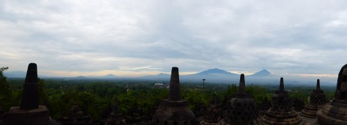 p1000918