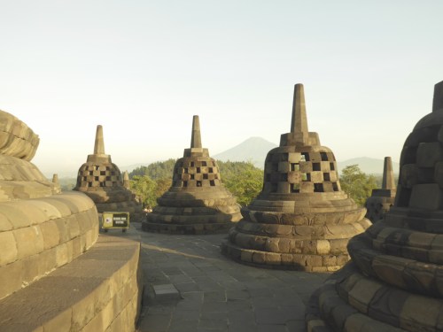p1000955